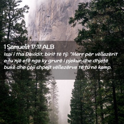 Picture 02 - 1 Samuelit 17:17 ALB - Isai i tha Davidit, birit të tij: 