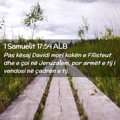 Picture 02 - 1 Samuelit 17:54 ALB - Pas kësaj Davidi mori kokën e Filisteut dhe e - Bible Verse Picture