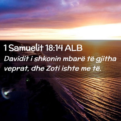 Picture 02 - 1 Samuelit 18:14 ALB - Davidit i shkonin mbarë të gjitha veprat, dhe - Bible Verse Picture