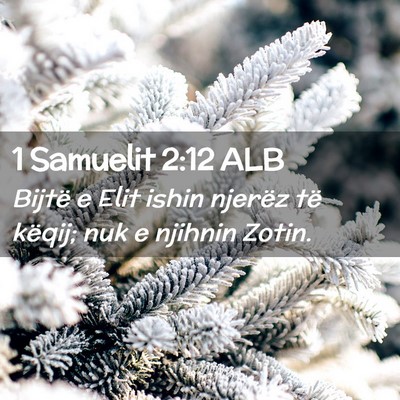 Picture 02 - 1 Samuelit 2:12 ALB - Bijtë e Elit ishin njerëz të këqij; nuk e - Bible Verse Picture
