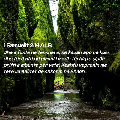 Picture 02 - 1 Samuelit 2:14 ALB - dhe e fuste në tenxhere, në kazan apo në kusi, - Bible Verse Picture