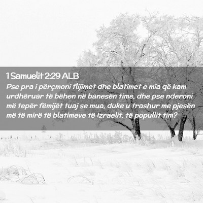 Picture 02 - 1 Samuelit 2:29 ALB - Pse pra i përçmoni flijimet dhe blatimet e mia - Bible Verse Picture