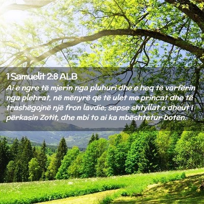 Picture 02 - 1 Samuelit 2:8 ALB - Ai e ngre të mjerin nga pluhuri dhe e heq të - Bible Verse Picture