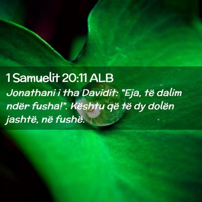 Picture 02 - 1 Samuelit 20:11 ALB - Jonathani i tha Davidit: 