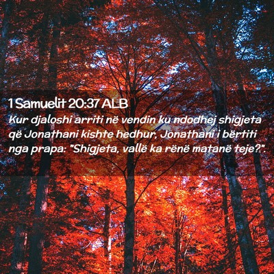 Picture 02 - 1 Samuelit 20:37 ALB - Kur djaloshi arriti në vendin ku ndodhej - Bible Verse Picture