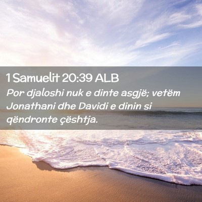 Picture 02 - 1 Samuelit 20:39 ALB - Por djaloshi nuk e dinte asgjë; vetëm Jonathani - Bible Verse Picture