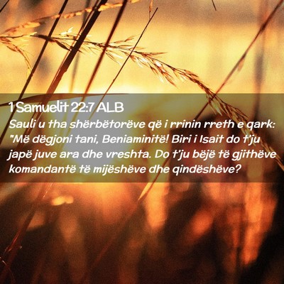 Picture 02 - 1 Samuelit 22:7 ALB - Sauli u tha shërbëtorëve që i rrinin rreth e - Bible Verse Picture