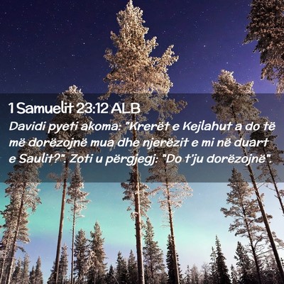 Picture 02 - 1 Samuelit 23:12 ALB - Davidi pyeti akoma: 