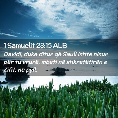 Picture 02 - 1 Samuelit 23:15 ALB - Davidi, duke ditur që Sauli ishte nisur për ta - Bible Verse Picture