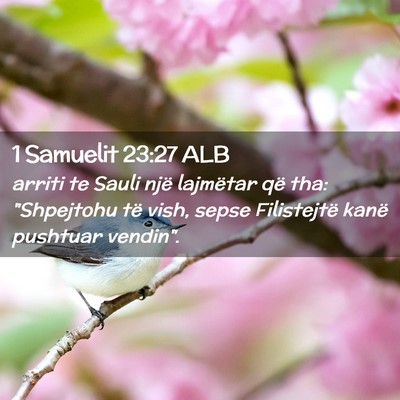 Picture 02 - 1 Samuelit 23:27 ALB - arriti te Sauli një lajmëtar që tha: - Bible Verse Picture