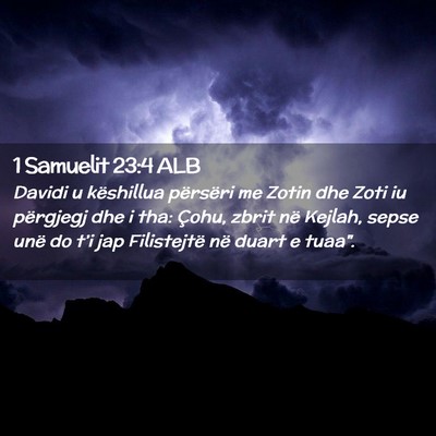 Picture 02 - 1 Samuelit 23:4 ALB - Davidi u këshillua përsëri me Zotin dhe Zoti - Bible Verse Picture