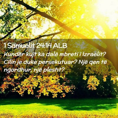 Picture 02 - 1 Samuelit 24:14 ALB - Kundër kujt ka dalë mbreti i Izraelit? Cilin je - Bible Verse Picture