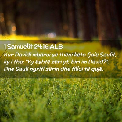 Picture 02 - 1 Samuelit 24:16 ALB - Kur Davidi mbaroi së thëni këto fjalë Saulit, - Bible Verse Picture