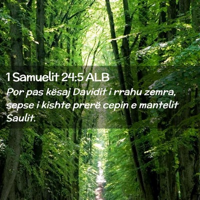 Picture 02 - 1 Samuelit 24:5 ALB - Por pas kësaj Davidit i rrahu zemra, sepse i - Bible Verse Picture