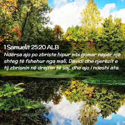 Picture 02 - 1 Samuelit 25:20 ALB - Ndërsa ajo po zbriste hipur mbi gomar nëpër - Bible Verse Picture