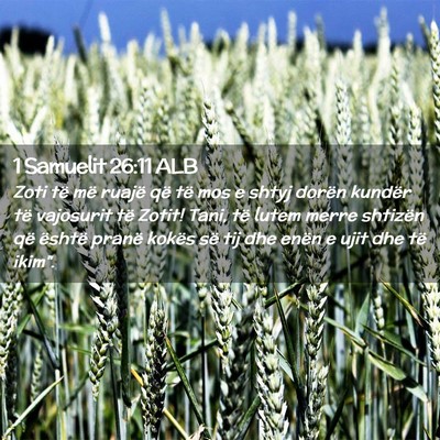 Picture 02 - 1 Samuelit 26:11 ALB - Zoti të më ruajë që të mos e shtyj dorën - Bible Verse Picture