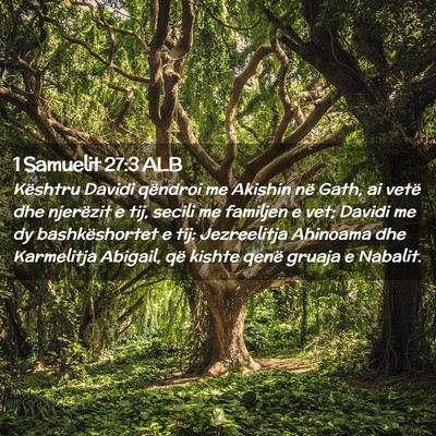 Picture 02 - 1 Samuelit 27:3 ALB - Kështru Davidi qëndroi me Akishin në Gath, ai - Bible Verse Picture