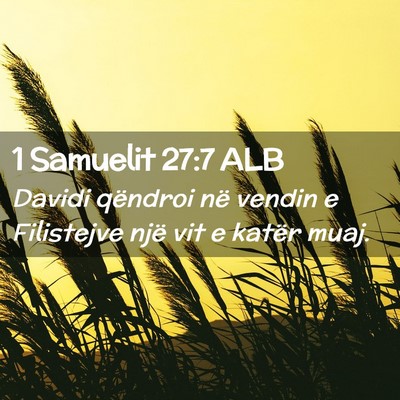 Picture 02 - 1 Samuelit 27:7 ALB - Davidi qëndroi në vendin e Filistejve një vit - Bible Verse Picture