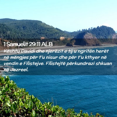 Picture 02 - 1 Samuelit 29:11 ALB - Kështu Davidi dhe njerëzit e tij u ngritën - Bible Verse Picture