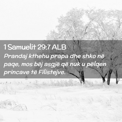 Picture 02 - 1 Samuelit 29:7 ALB - Prandaj kthehu prapa dhe shko në paqe, mos bëj - Bible Verse Picture
