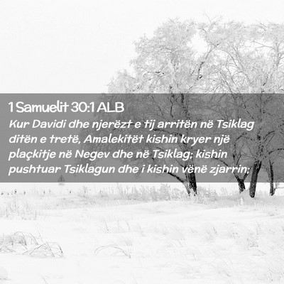 Picture 02 - 1 Samuelit 30:1 ALB - Kur Davidi dhe njerëzt e tij arritën në - Bible Verse Picture