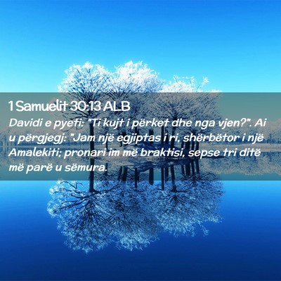 Picture 02 - 1 Samuelit 30:13 ALB - Davidi e pyeti: 