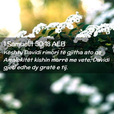Picture 02 - 1 Samuelit 30:18 ALB - Kështu Davidi rimori të gjitha ato që - Bible Verse Picture