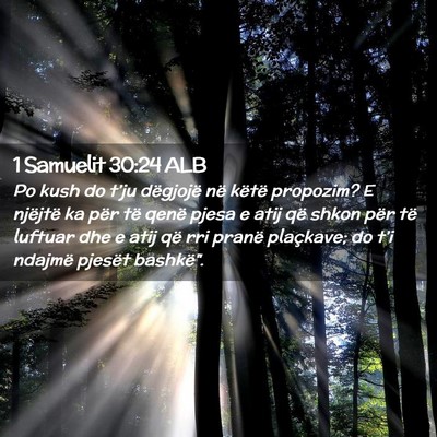 Picture 02 - 1 Samuelit 30:24 ALB - Po kush do t’ju dëgjojë në këtë propozim? - Bible Verse Picture
