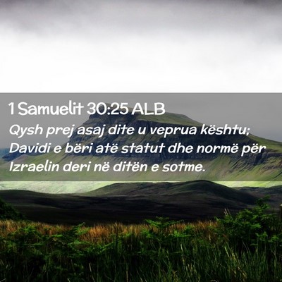 Picture 02 - 1 Samuelit 30:25 ALB - Qysh prej asaj dite u veprua kështu; Davidi e - Bible Verse Picture
