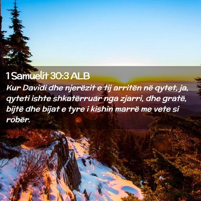 Picture 02 - 1 Samuelit 30:3 ALB - Kur Davidi dhe njerëzit e tij arritën në - Bible Verse Picture