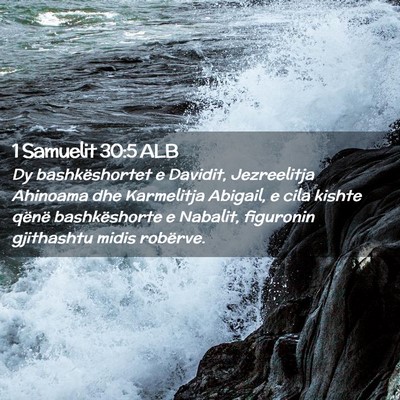 Picture 02 - 1 Samuelit 30:5 ALB - Dy bashkëshortet e Davidit, Jezreelitja Ahinoama - Bible Verse Picture