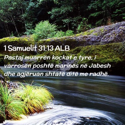 Picture 02 - 1 Samuelit 31:13 ALB - Pastaj muarrën kockat e tyre, i varrosën - Bible Verse Picture