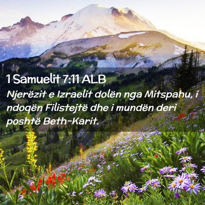 Picture 02 - 1 Samuelit 7:11 ALB - Njerëzit e Izraelit dolën nga Mitspahu, i - Bible Verse Picture