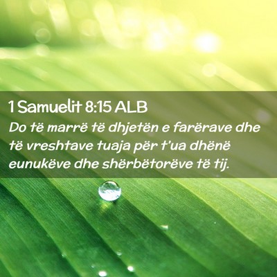 Picture 02 - 1 Samuelit 8:15 ALB - Do të marrë të dhjetën e farërave dhe të - Bible Verse Picture