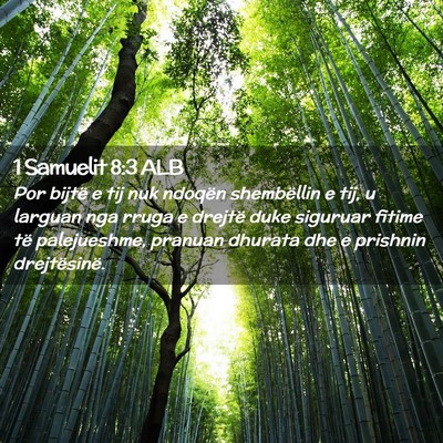 Picture 02 - 1 Samuelit 8:3 ALB - Por bijtë e tij nuk ndoqën shembëllin e tij, u - Bible Verse Picture