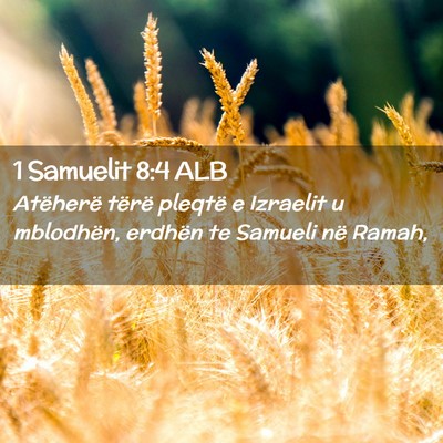 Picture 02 - 1 Samuelit 8:4 ALB - Atëherë tërë pleqtë e Izraelit u mblodhën, - Bible Verse Picture