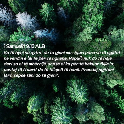 Picture 02 - 1 Samuelit 9:13 ALB - Sa të hyni në qytet, do ta gjeni me siguri para - Bible Verse Picture