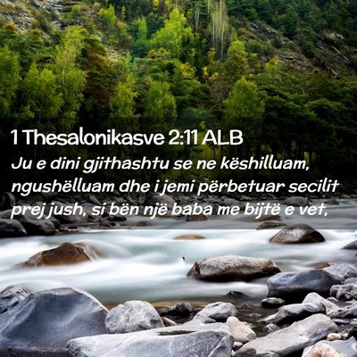 Picture 02 - 1 Thesalonikasve 2:11 ALB - Ju e dini gjithashtu se ne këshilluam, - Bible Verse Picture