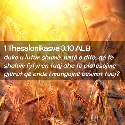 Picture 02 - 1 Thesalonikasve 3:10 ALB - duke u lutur shumë, natë e ditë, që të - Bible Verse Picture
