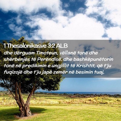Picture 02 - 1 Thesalonikasve 3:2 ALB - dhe dërguam Timoteun, vëllanë tonë dhe - Bible Verse Picture