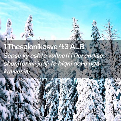 Picture 02 - 1 Thesalonikasve 4:3 ALB - Sepse ky është vullneti i Perëndisë: - Bible Verse Picture