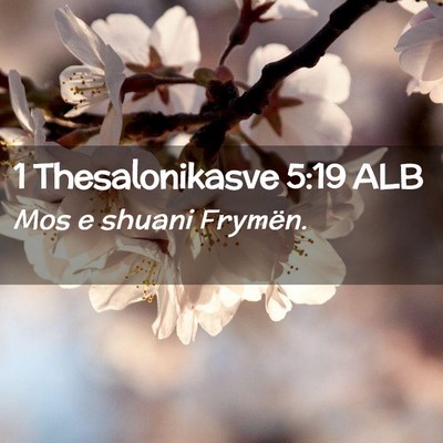 Picture 02 - 1 Thesalonikasve 5:19 ALB - Mos e shuani - Bible Verse Picture