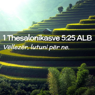 Picture 02 - 1 Thesalonikasve 5:25 ALB - Vëllezër, lutuni për - Bible Verse Picture