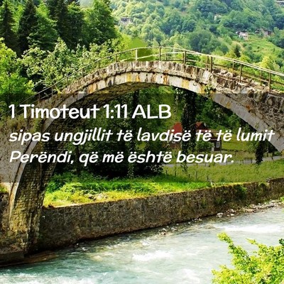 Picture 02 - 1 Timoteut 1:11 ALB - sipas ungjillit të lavdisë të të lumit - Bible Verse Picture