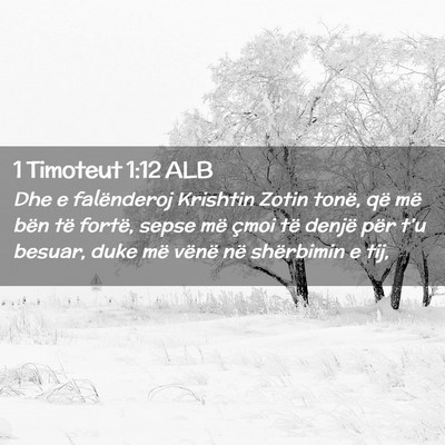 Picture 02 - 1 Timoteut 1:12 ALB - Dhe e falënderoj Krishtin Zotin tonë, që më - Bible Verse Picture