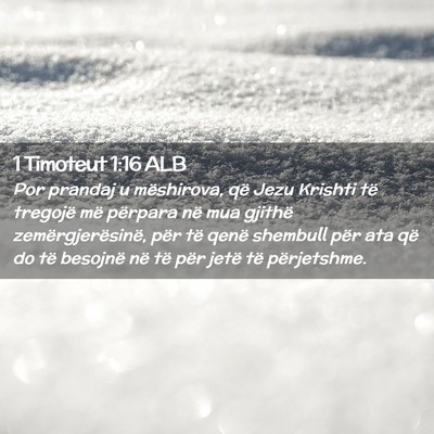 Picture 02 - 1 Timoteut 1:16 ALB - Por prandaj u mëshirova, që Jezu Krishti të - Bible Verse Picture