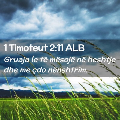 Picture 02 - 1 Timoteut 2:11 ALB - Gruaja le të mësojë në heshtje dhe me çdo - Bible Verse Picture