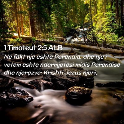 Picture 02 - 1 Timoteut 2:5 ALB - Në fakt një është Perëndia, dhe një i - Bible Verse Picture