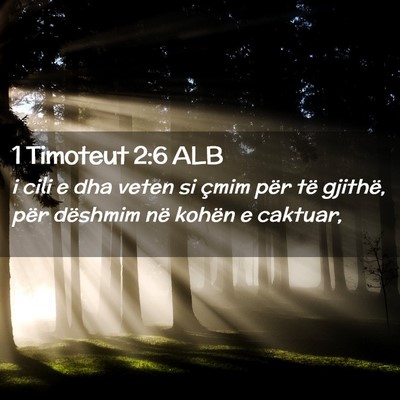 Picture 02 - 1 Timoteut 2:6 ALB - i cili e dha veten si çmim për të gjithë, - Bible Verse Picture