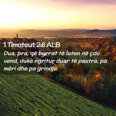 Picture 02 - 1 Timoteut 2:8 ALB - Dua, pra, që burrat të luten në çdo vend, - Bible Verse Picture